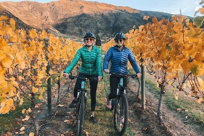 Bike The Wineries Full Day Tour Queenstown