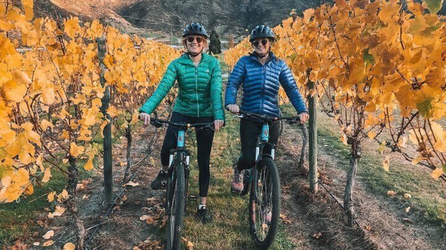 The beautiful wine biking trail of Gibbston Valley - come and explore it with Around The Basin