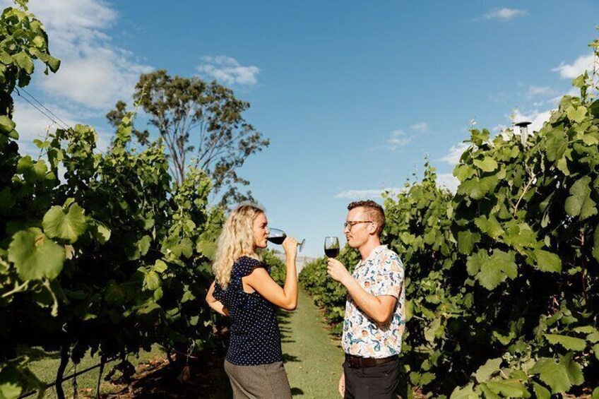 Wine tasting tour to Tamborine Mountain