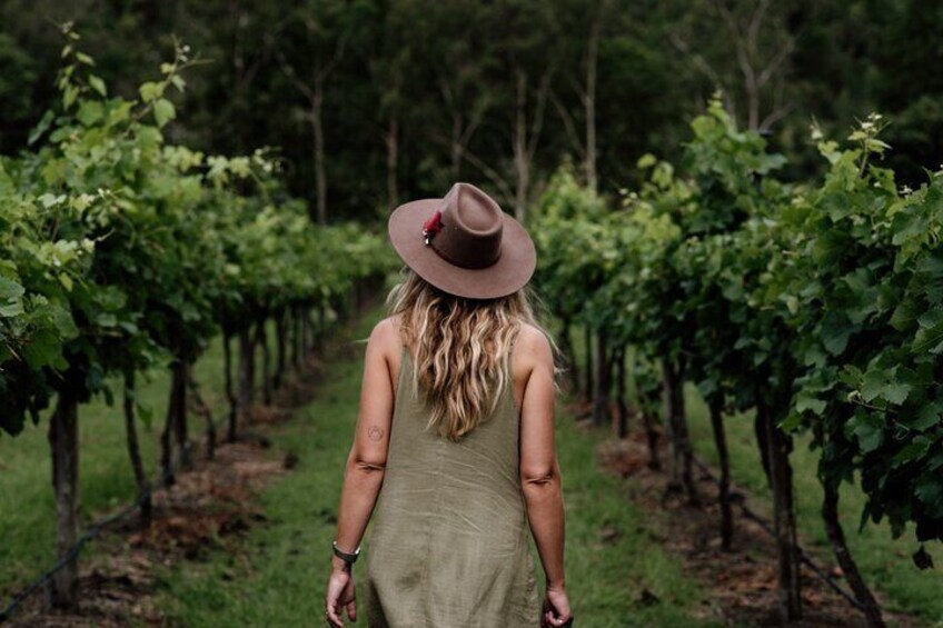 Wine tasting tour to Tamborine Mountain