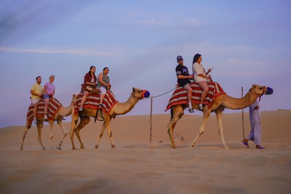 Dubai: Overnight Desert Safari, Camel Ride, BBQ & Stargazing at Al Khayma