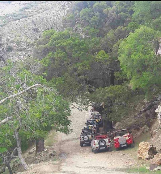4x4 Jeep Safari Tour with Lunch