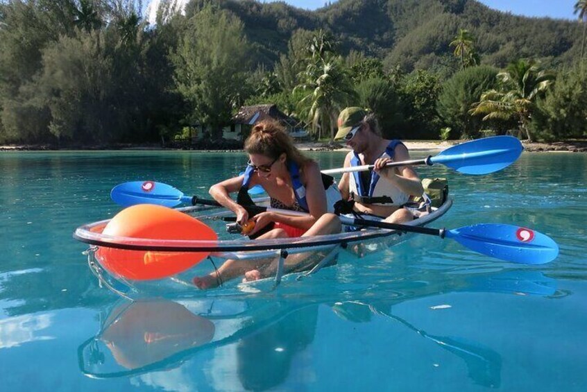 Eco excursion to the lagoon of Moorea by paddle or transparent kayak