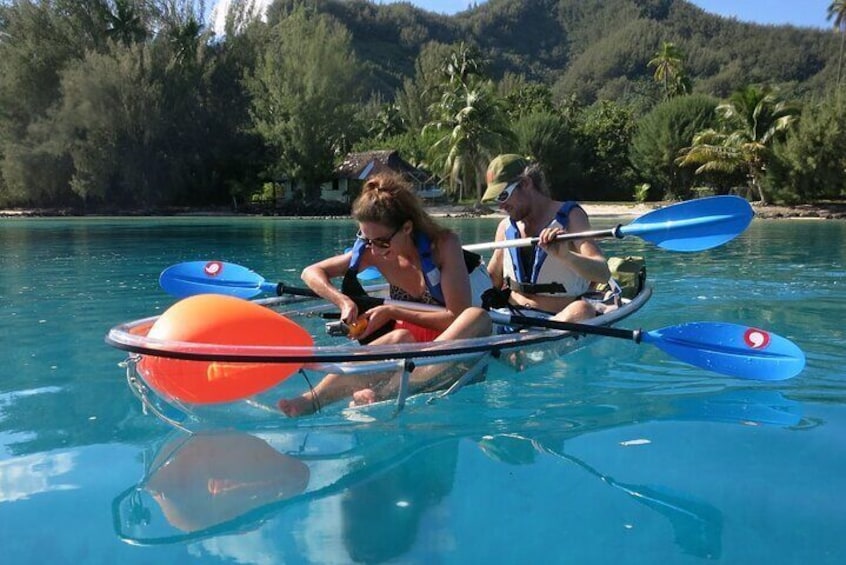 Eco excursion to the lagoon of Moorea by paddle or transparent kayak