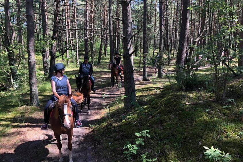 Private Horse Riding on the Beach in Riga