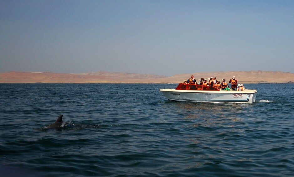 Paracas and Ica Full Day Trip from Lima