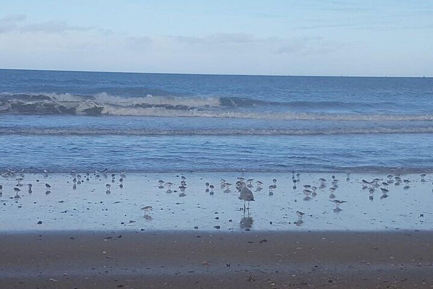 Ouistreham Riva Bella Beach