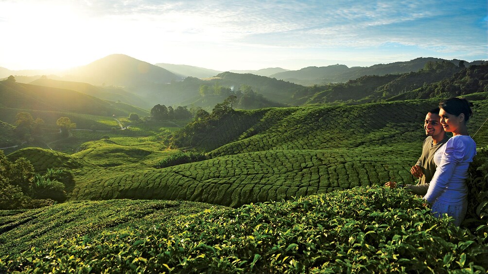 Private 2-Day Cameron Highlands (ending Penang)