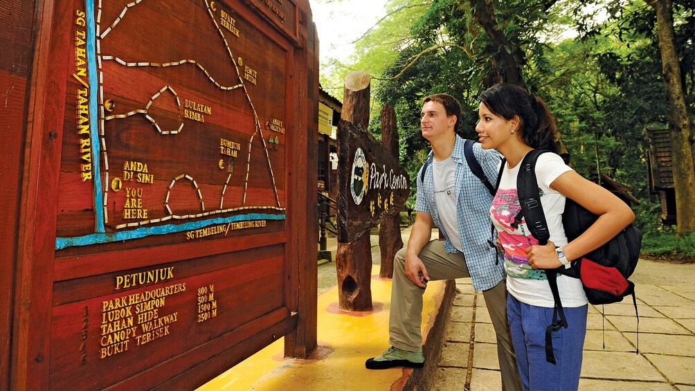 Private 3-Day Taman Negara Excursion