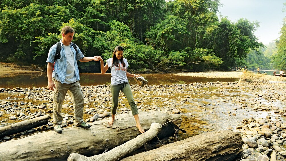 Private 3-Day Taman Negara Excursion