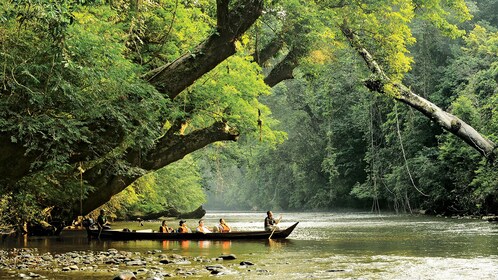 Private 3-Day Taman Negara Excursion
