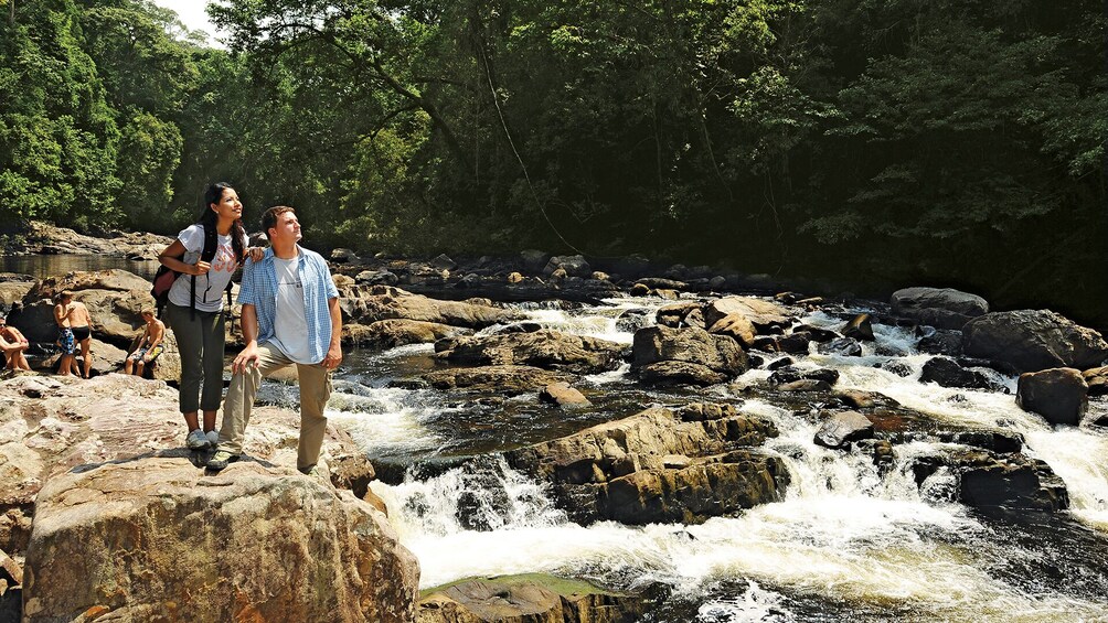 Private 3-Day Taman Negara Excursion