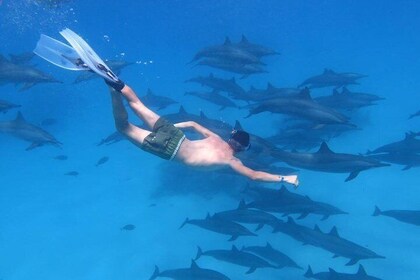 Snorkelling Trip At Port Ghalib Marina from Marsa Alam