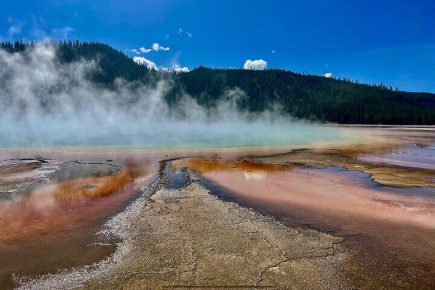 1st Class Luxury Specialty Tours of Yellowstone From Cody Wyoming