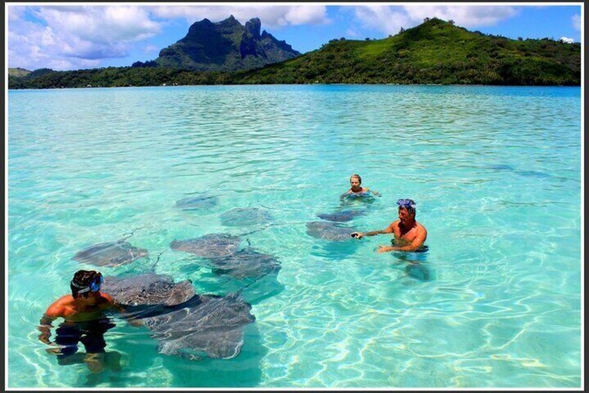Snorkeling with Stingrays
