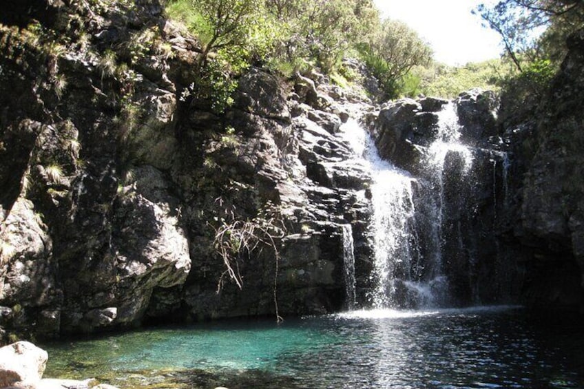 Wind Lagoon - Levada do Alecrim Full-day walk