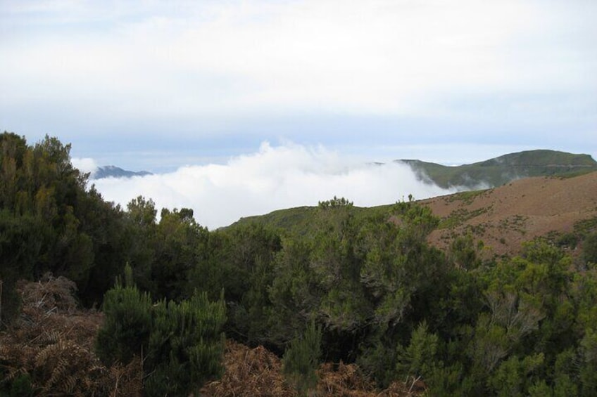 Wind Lagoon - Levada do Alecrim Full-day walk