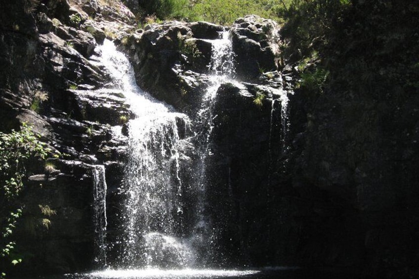 Wind Lagoon - Levada do Alecrim Full-day walk