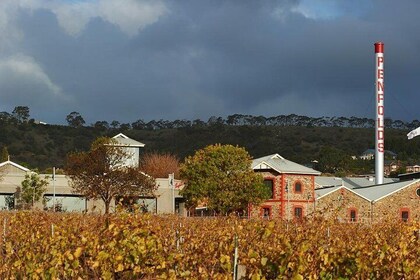 Penfolds Magill Estate Iconic Experience