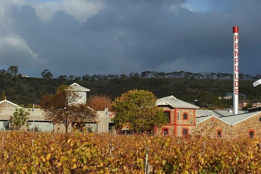 Penfolds Estate
