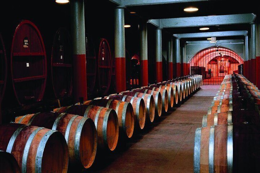 Penfolds Magill Estate Iconic Experience