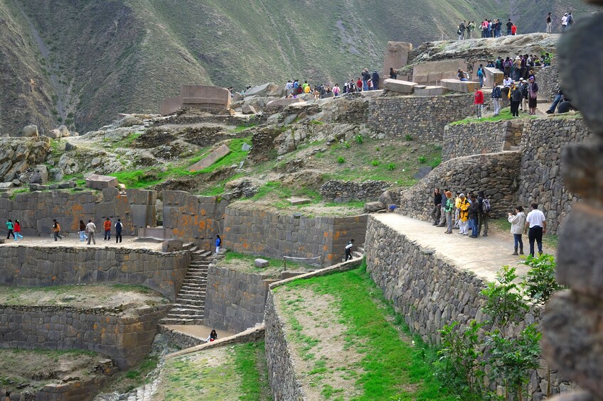 Sacred Valley of the Incas, Pisac, Awanacancha & Ollantaytambo Tour