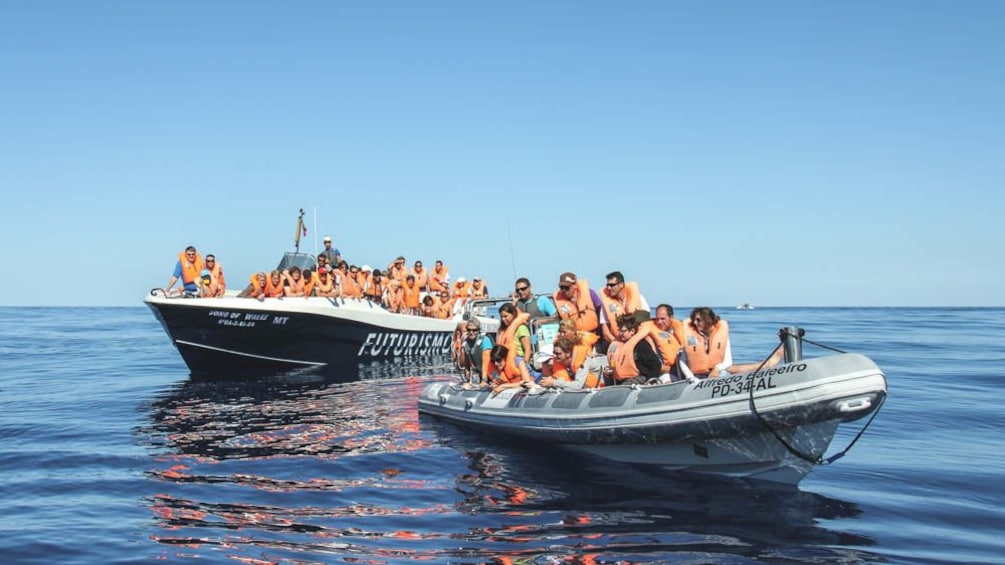 Group of people on two motorboats whale watching.
