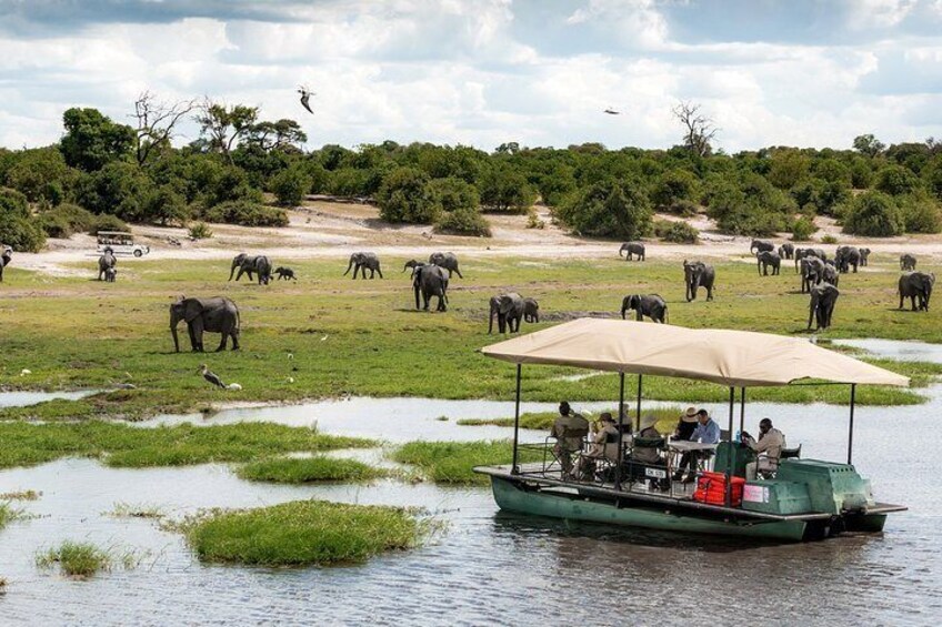 Chobe scenery