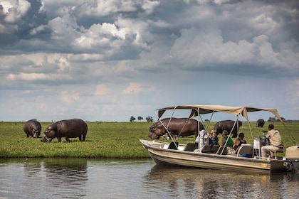Chobe Day Trip, Botswana