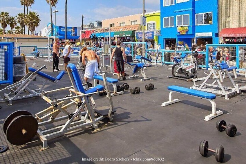 Visit Venice Beach Neighbourhood: Private 2-hour Walking Tour