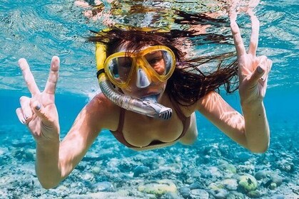 Antigua: History, Local Food and Snorkeling Whole Island Tour