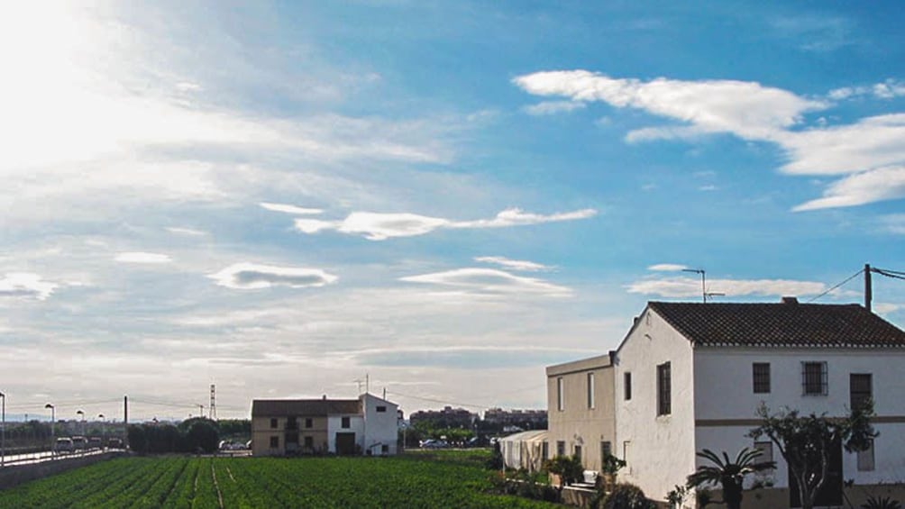 Ver elemento 3 de 5. Landscape view of farmland with houses pictured.