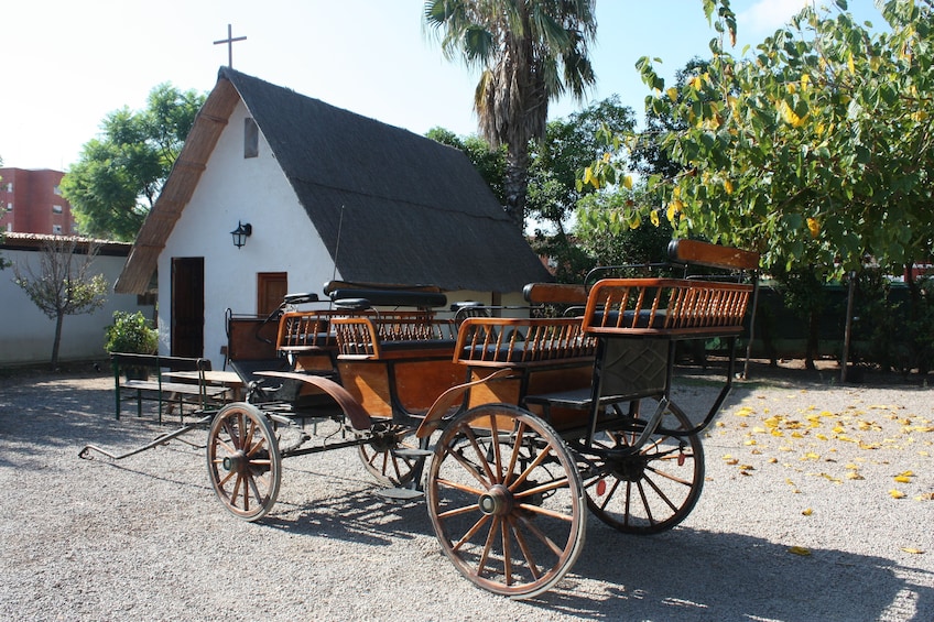 Ver elemento 4 de 7. The Valencian Orchard: Paella Lunch & Rural Activities
