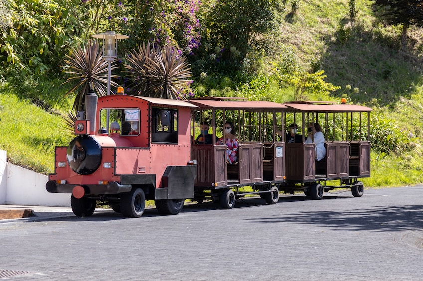 Private Service Madeira Theme Park Visit - Santana