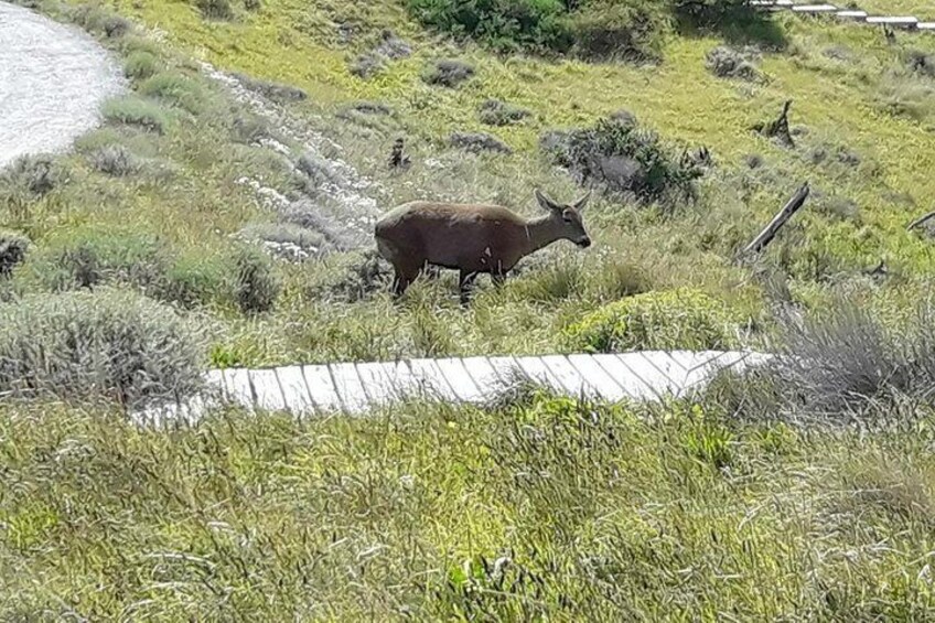 Torres del Paine national park