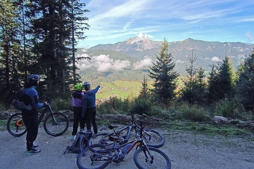 Guided e-bike tour of the alpine pastures in the Salzkammergut