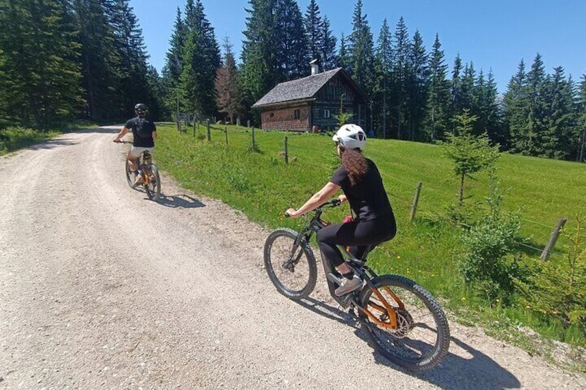 Guided e-bike tour of the alpine pastures in the Salzkammergut