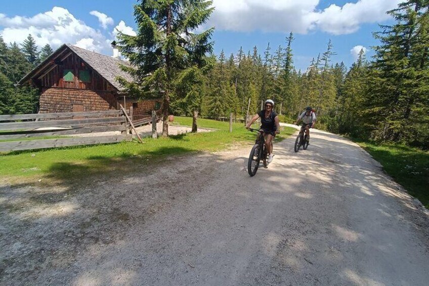 Guided e-bike tour of the alpine pastures in the Salzkammergut