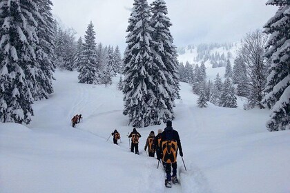 Snowshoe tour on Schliersee with zipflbob ride