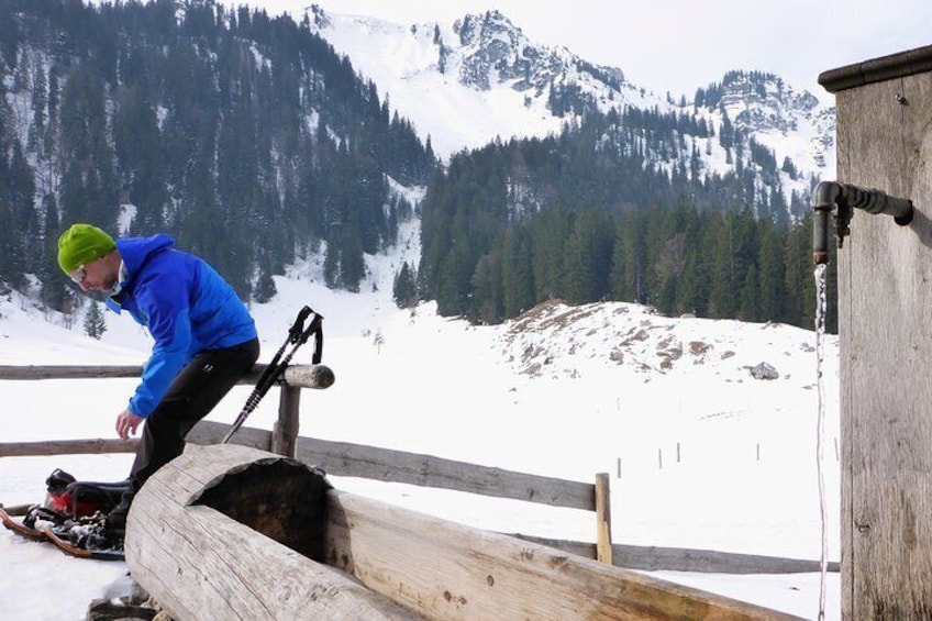 Snowshoe tour on the Schliersee