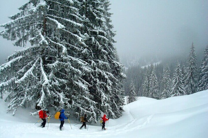 Snowshoe tour on the Schliersee