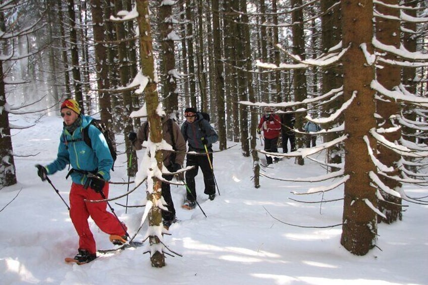 Snowshoe tour on the Schliersee