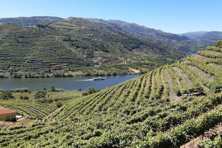 Douro Valley Wine Experience with a Sommelier