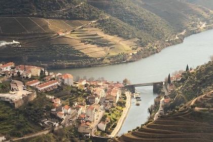 Douro Valley Wine Experience with a Sommelier