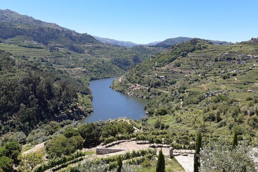 Douro Valley Wine Experience with a Sommelier