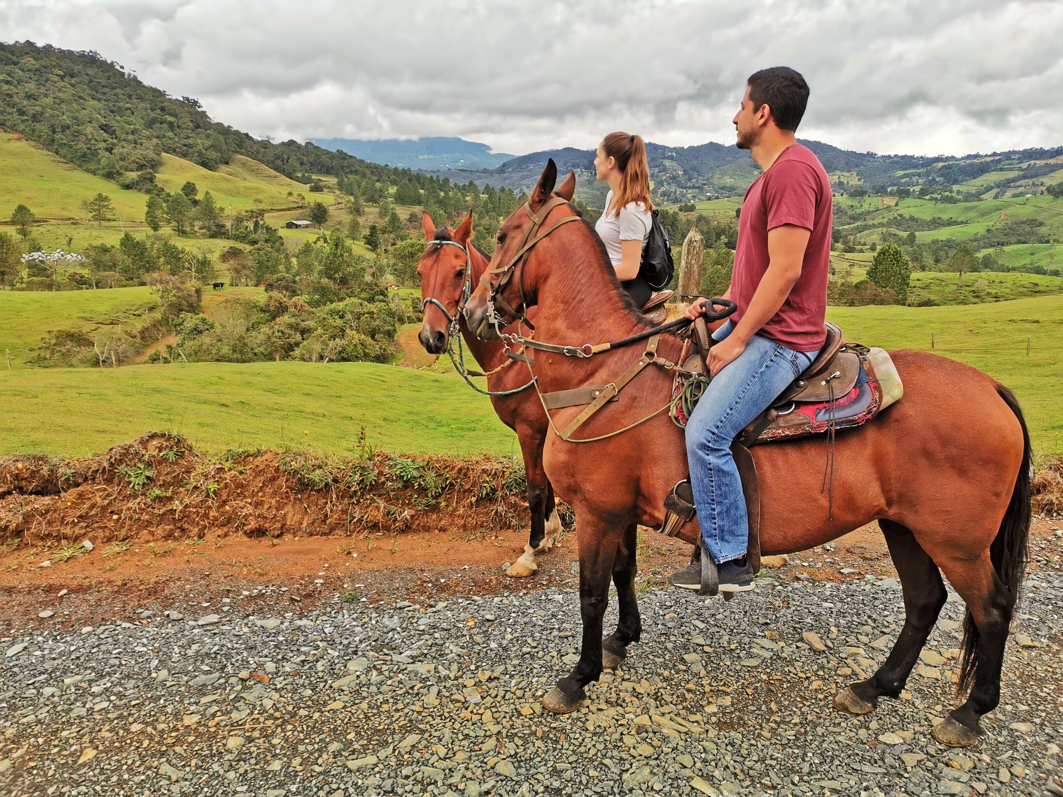 horseback riding and atv