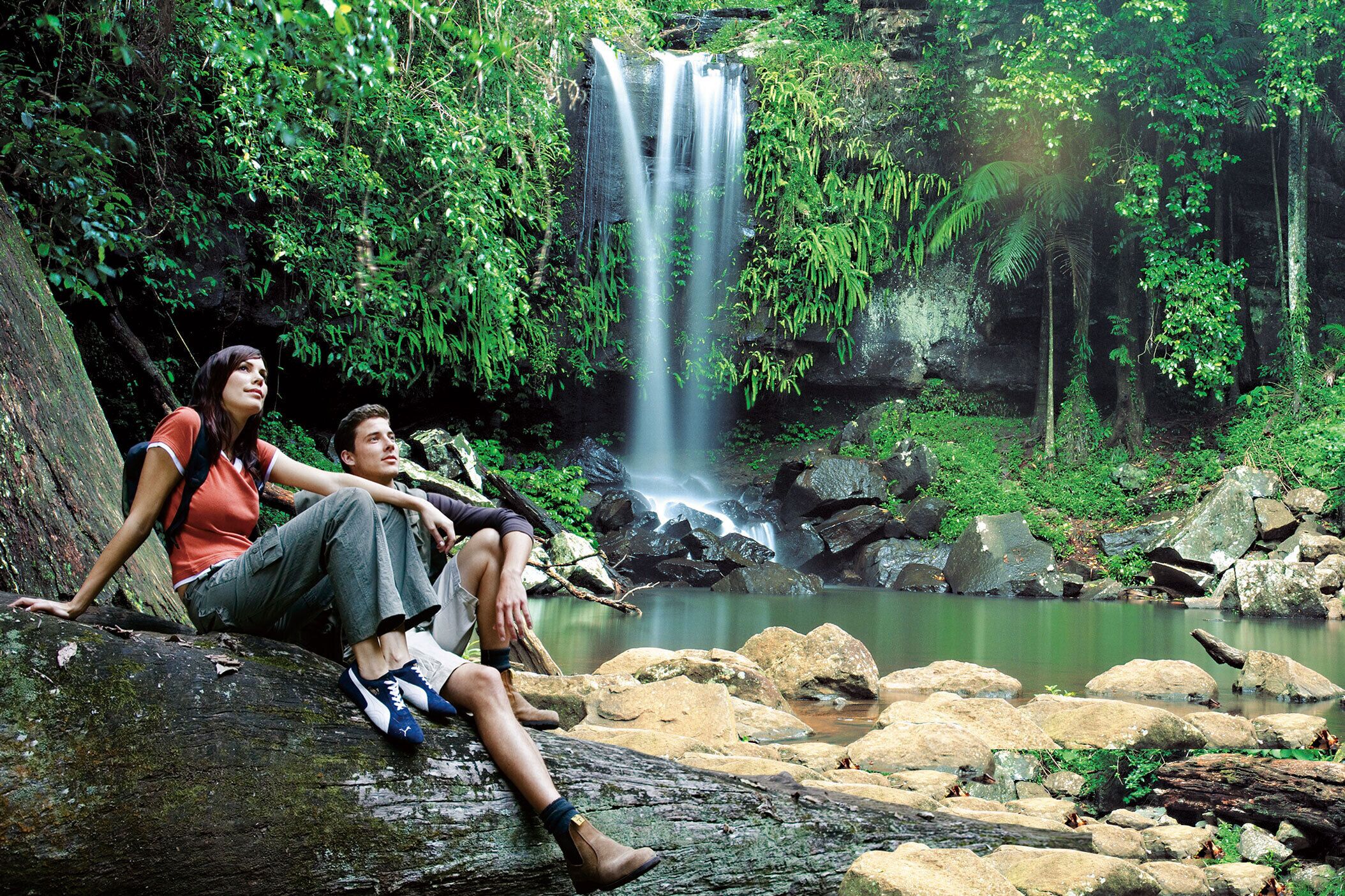 Tamborine Mountain Rainforest Walk Half Day Tour