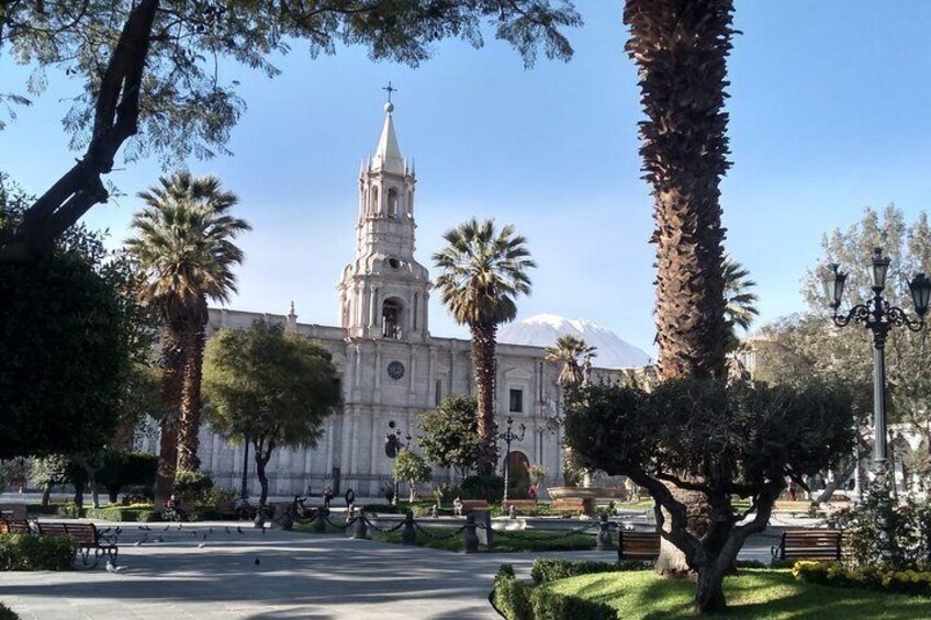 Arequipa Historical Downtown Tour