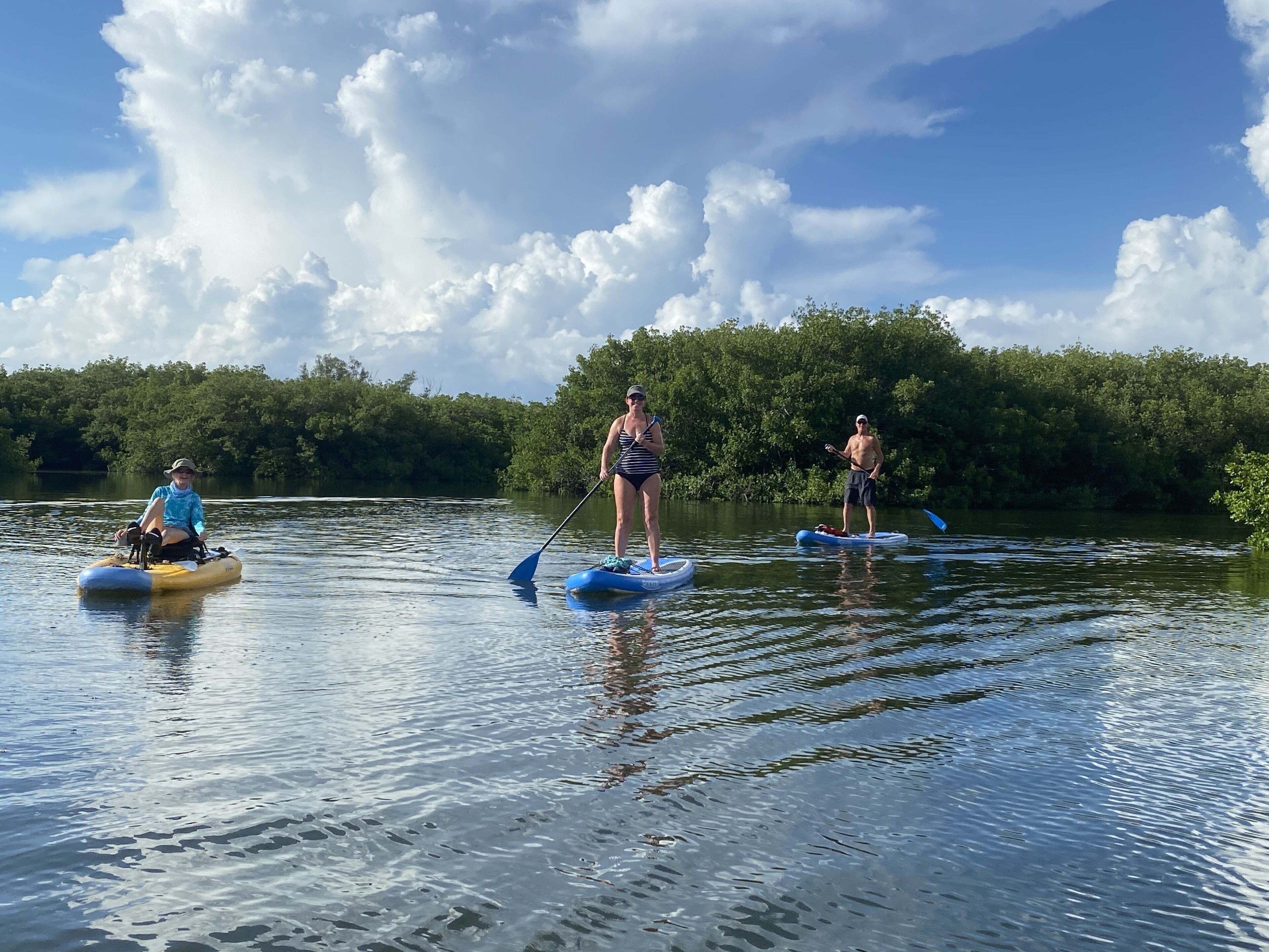 Things To Do In Captiva 2021 Activities & Attractions Travelocity