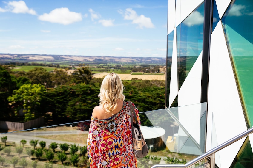 NEW TOUR - Small Group McLaren Vale & The Cube Experience